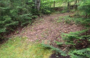R7 Ski-in Ski-out Bretton Woods Townhome on 2-mile home trail Mt Washington views - Foto 21