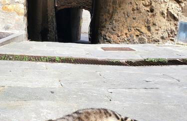 CASINA Toscana con cucina e Wi-Fi veloce - Foto 50