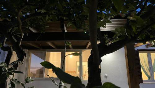 Casa indipendente - Foto 3, Garden view