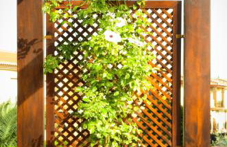 Apartamentos Turísticos Cúllar Vega - Foto 74