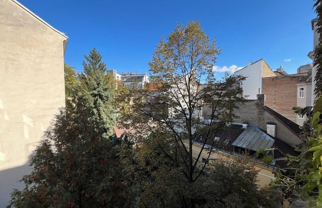 Orange Palm - Foto 37