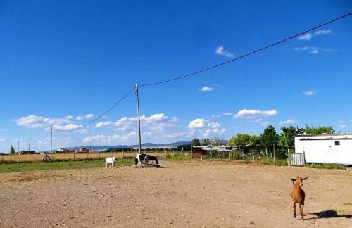 Masia Los Camineros - Photo 22