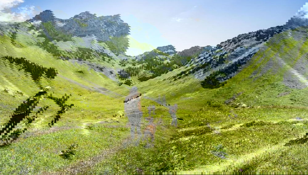 Gentianes Gna15 Mountain & Quiet 3 Pers - Foto 1, Imagen principal