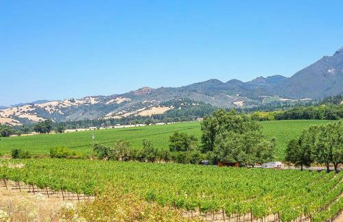 Calistoga Vineyard Getaway - Wine Tastings Included - Foto 6