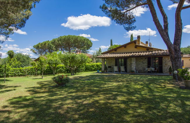 Cedri Alti - Foto 19