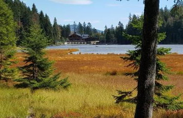 Ferienwohnung Breit - Kirchdorf - Foto 15