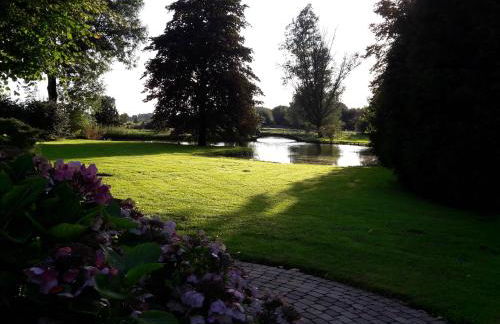 Austernfischer - Photo 2