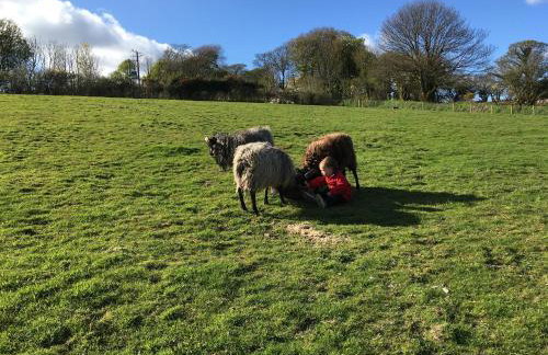 Higher Trewithen - Photo 60