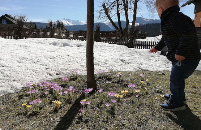 Chalet in Bad Mitterndorf Near Ski Bus - Foto 31