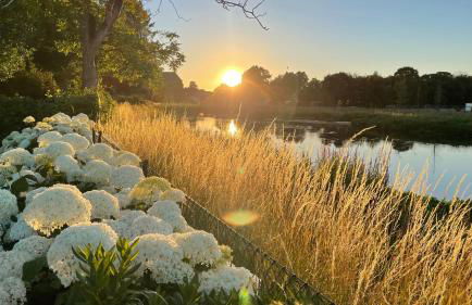 Ferienhaus an der Niers - Foto 22