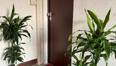 Casanove212 - Foto 2