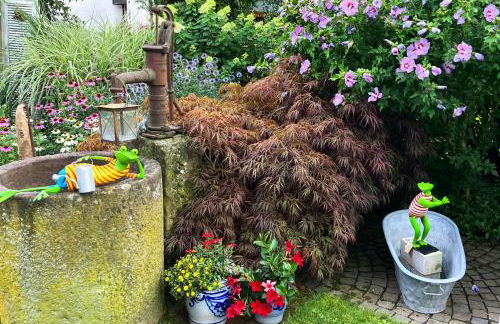 Apartment im Garten - Foto 14