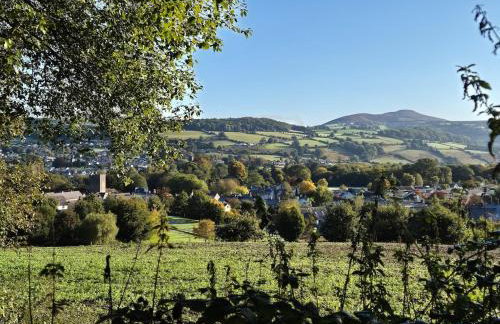 Little Plas - Foto 6