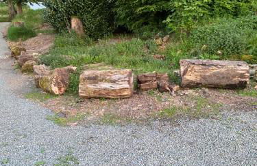 Pirnie Lodge Holiday Lets - Foto 57