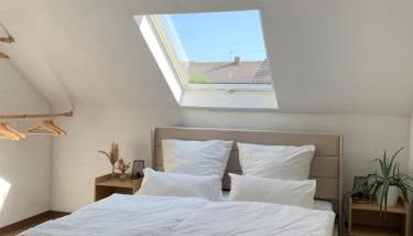 Gemütliches & schönes Apartment - Foto 2