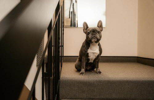 EmsQuartier - Foto 36