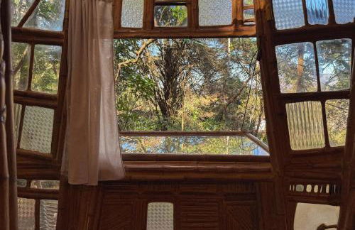 Casa Bambu Floresta Amada - Photo 38