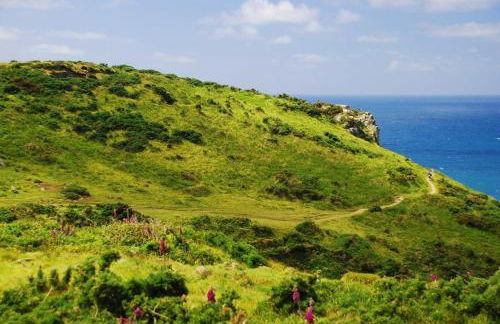 St Edwards Cottage, Tintagel - Foto 37