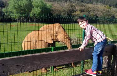 Vivienda Rural La Mazuga - Foto 60