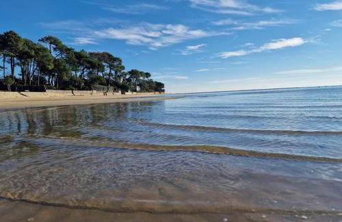 Maison l'EscaleTaussat Les Bains - Photo 38