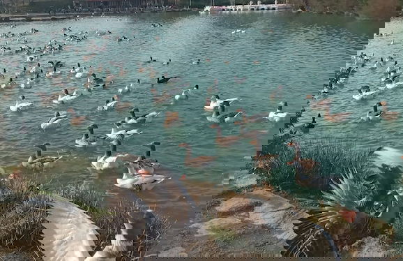 Gunes Thermal Hotel - Foto 44