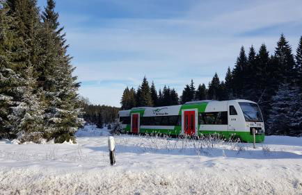 Ferienhaus Victoria - Foto 67