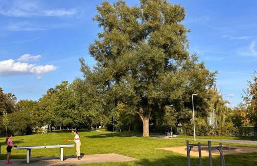 Ferien im Alten Pfarrhaus - Foto 29