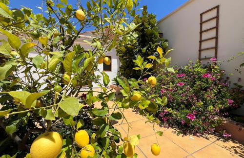 Charming brand-new loft with garden and pool - Foto 25