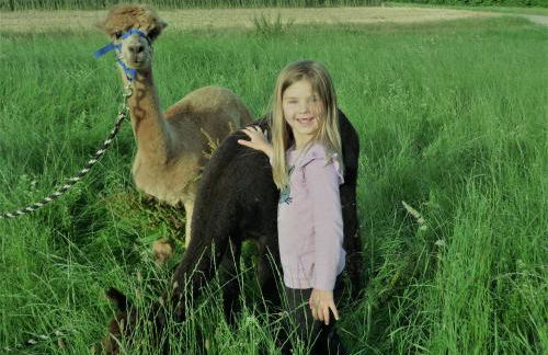 Ferienwohnung in der Rhön - Foto 16