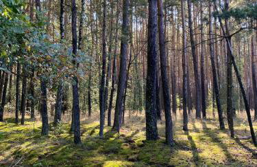 Osada California - Foto 57