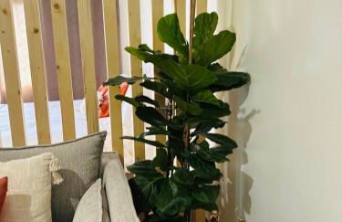 Dani House - Porto Moniz Escape - Foto 14