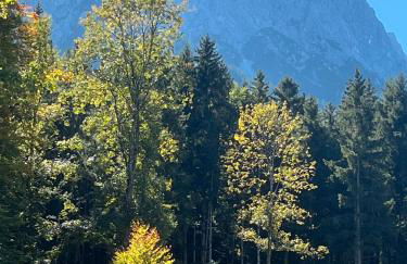 Fewo Maria Grasegger - Foto 34