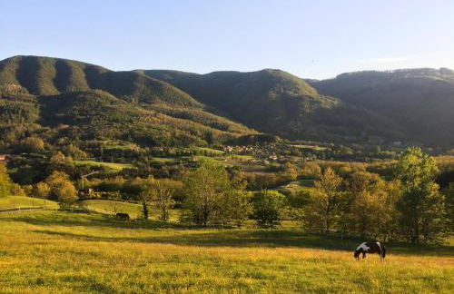 Il Borrino - Foto 17