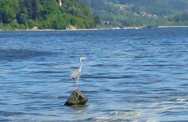 Dream Catcher House - dom do wynajęcia w górach - Foto 29