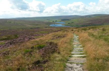 Gibraltar Farm Cottage - Foto 15