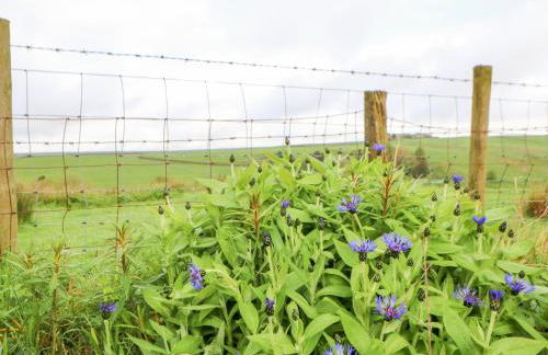 3 Tindale Terrace - Foto 33