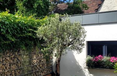 Modernes Ferienappartement An der Steige - Foto 16