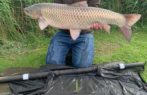 Lakeside Fishing Lodges - Foto 53