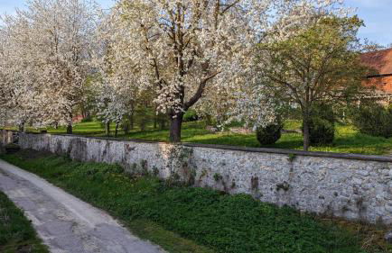 Ferienhaus am Schloßpark - Foto 15