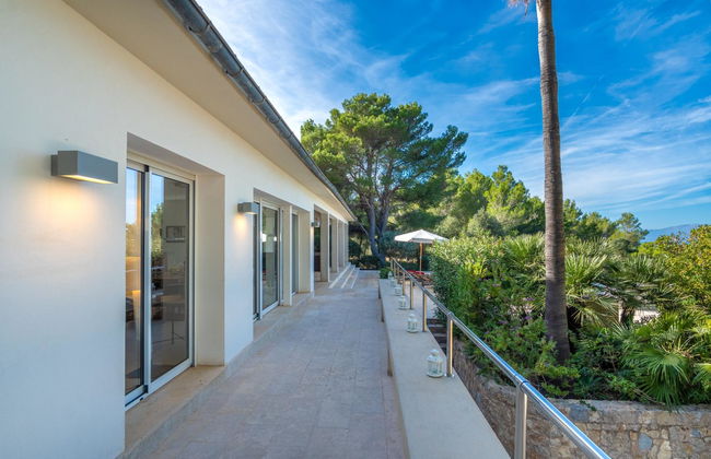 Orquidea 34 - Photo 44