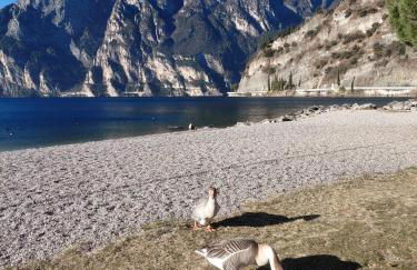 Casa Tecla, bright apartment in a single house - Photo 9