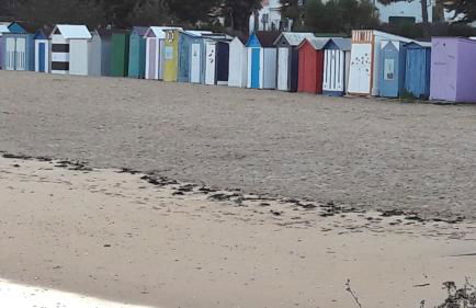 Ma Chaumiere - Foto 40