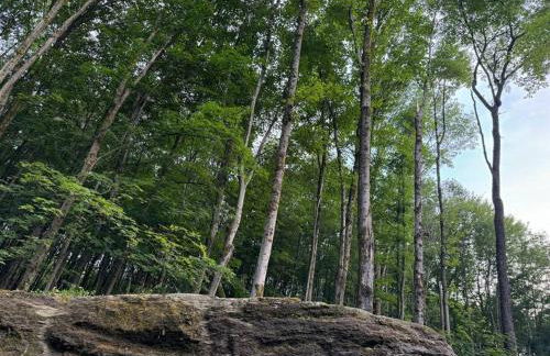 Private Cottage with Hot Tub in the Woods - Foto 40