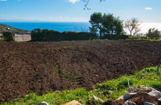 Agriturismo Fattoria Terranova - Foto 58