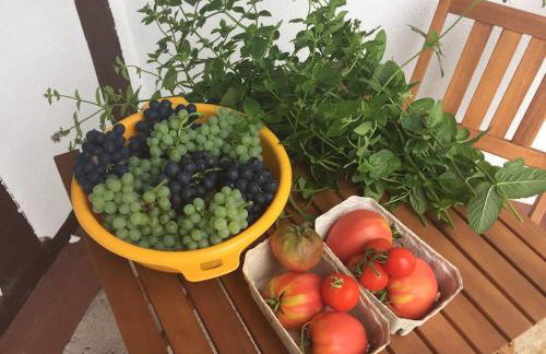 Privat Apartment- Near Strasbourg, Baden Baden - Foto 24