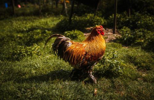 Relax Appartment Walchensee - Foto 49