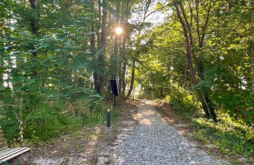 Ferienanlage Eldena Ferienwohnung 12 - Foto 25