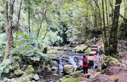 Porto Moniz Villa - Foto 47