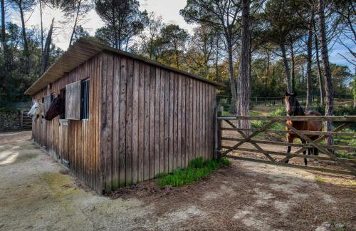 Can pauet - Photo 25