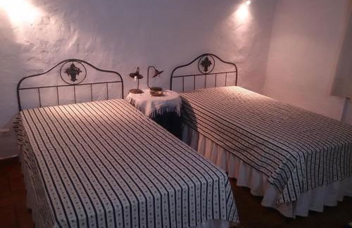 Horta da Quinta - Foto 18